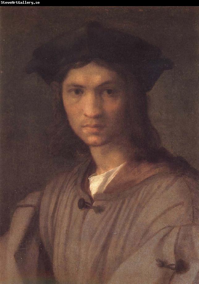 Andrea del Sarto Potrait of man